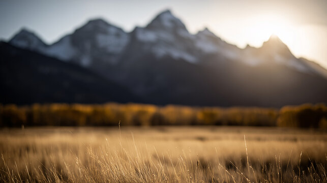 Serene golden meadow at sunrise with softly blurred majestic mountains in the background.