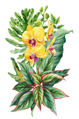 Yellow Orchid Watercolor Floral Arrangement with Tropical Leaves and Exotic Botanical Garden Illustration