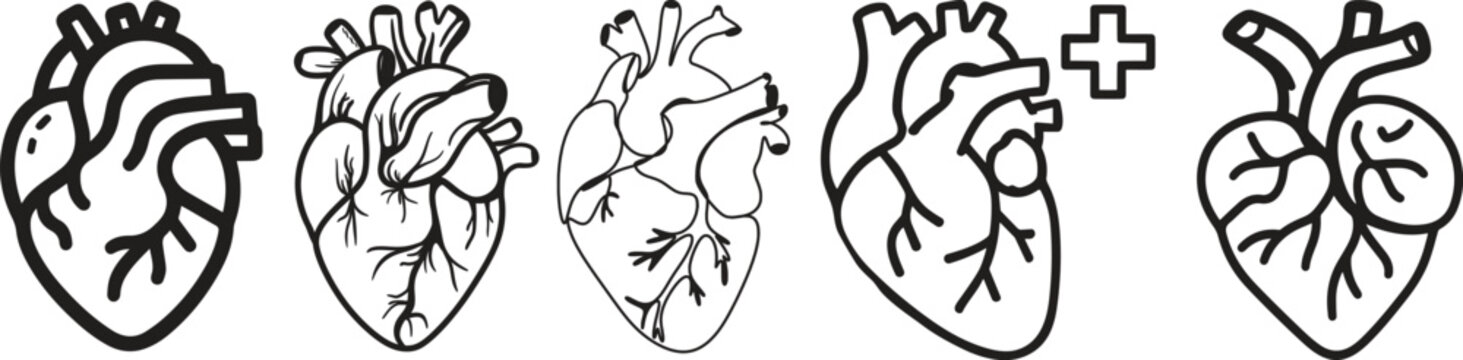 Anatomical heart icon set.Human anatomy internal organ set with brain lung intestine heart kidney liver and stomatch.Healthy Cardiovascular Organ Symbol Collection on White Background and red.