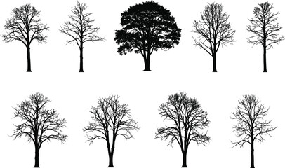 Silhouettes of various tree types, bare branches and full foliage, vector tree set for nature, forest, landscaping, or seasonal design.
