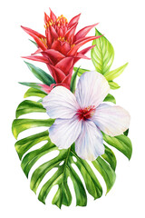 Red Bromeliad and White Hibiscus Watercolor Illustration with Tropical Monstera Leaves summer design