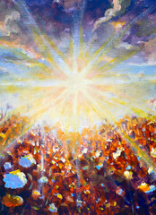 wildflowers blooming under bright sun rays