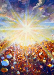 wildflowers blooming under bright sun rays © weris7554