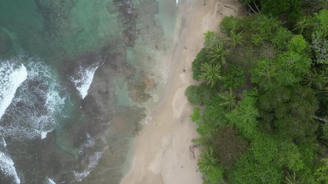 tropical beach - playa chiquita