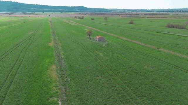 Vue a&eacute;rienne par drone de vastes champs agricoles g&eacute;om&eacute;triques alternant cultures vertes et terre brune avec des traces de machines