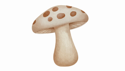 mushroom isolated on white background