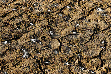 Frozen cracked mud with small patches of snow