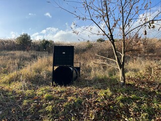 Wild boar drum trap set in a grassland area in Japan, used for wildlife management.