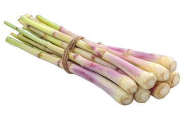 Bundle of fresh, raw, pale stalks tied with twine against a dark background