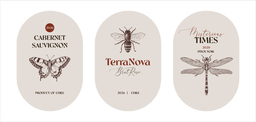 Wine labels with hand drawn insect illustrations