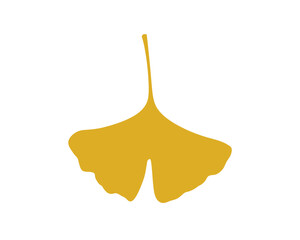 Golden ginkgo leaf on a clean white background, nature element
