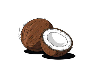 Whole and halved coconut illustration on a clean white background