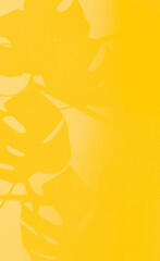 Soft light and shadows on yellow background. Gradient colors and shadow of the leaves on a wall. Space for text. Luxury hotel.  Product presentation, mockup for advertising. Japandi style
