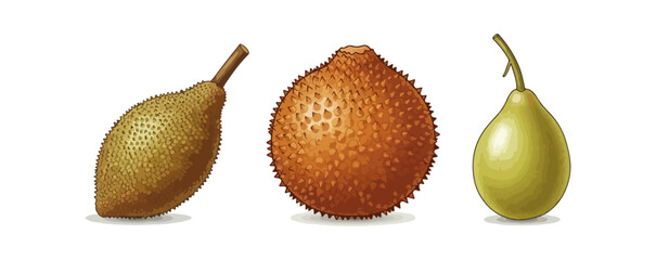 Three tropical fruits isolated on black background