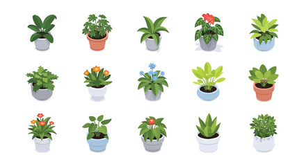 Isometric Plants Collection of Diverse Houseplants in Decorative Pots Arrangement