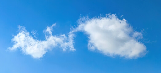 Obraz premium A lone, vanishing feather steam. Cumulus cloud structures fly overhead against a clear blue sky. Soft, wispy clouds, evoking peace and freedom.