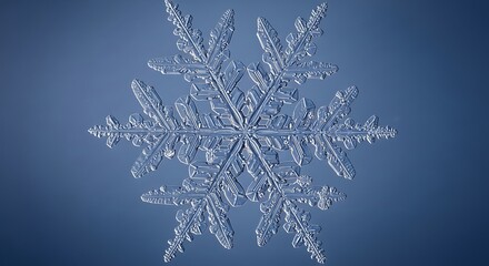 Detailed macro photograph of a single intricate snowflake on blue background.
