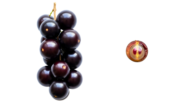 Exotic jabuticaba fruit, fresh and juicy, with cross section detail