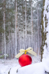 Christmas tree decorations in a winter forest.