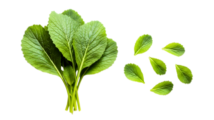 Fresh, vibrant mustard greens bundle ready for farm-to-table recipes