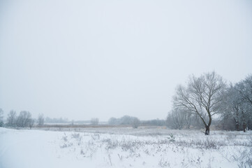 Snow-covered winter meadow