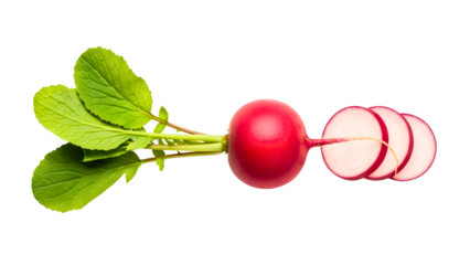 Fresh sliced radishes with vibrant green leaves, ready to eat today now