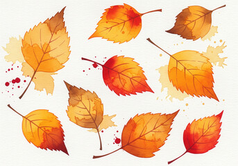 set of autumn leaves background 