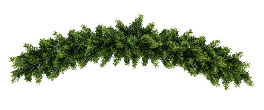 Christmas garland pine branch isolated on white background	
