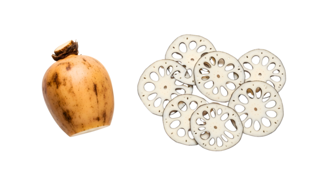 Fresh lotus root and sliced lotus root for sale at the farmer's market
