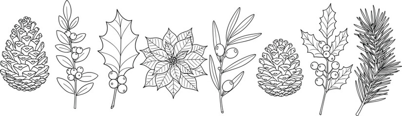 Hand drawn Christmas botanical vector set, winter floral elements, pine cone, holly, mistletoe, poinsettia, black line art, sketch collection for holiday decoration.