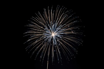 Obraz premium Fireworks on black sky outdoors night illuminated.