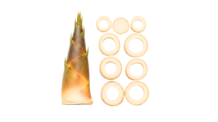 Fresh bamboo shoot with sliced pieces, culinary ingredient preparation