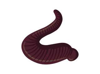 Hand Drawn Leech Animal Illustration
