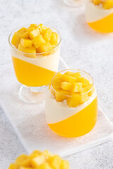 Fresh mango dessert with creamy layer and jelly served in elegant glass cups at a sunny gathering