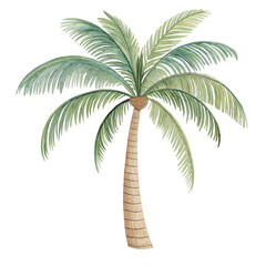 Watercolor tropical palm tree illustration, lush green island foliage art