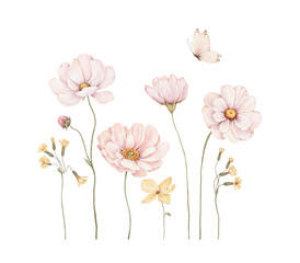 Fototapeta premium Watercolor set with delicate blossom yellow and pink flowers. Hand-drawn design composition for your cards, border, banners, poster or floral print. Isolated aquarelle illustration.