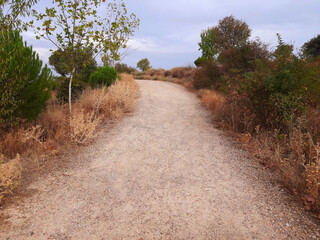 View of a curved path of dirt, grass, rocks and small stones. can be used for concepts and backgrounds. horizontal photo.