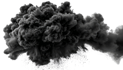 Pine cone on snow, walnut kernel closeup macro food ingredient isolated on a white background