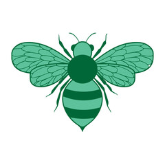 Bee Illustration