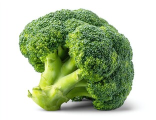 Fresh broccoli head, vibrant green, isolated (1)
