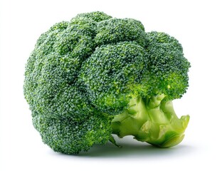 Fresh broccoli head, vibrant green, isolated against white