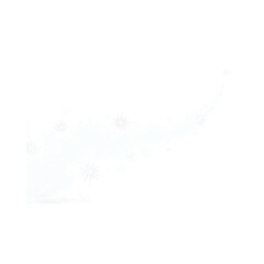christmas fir tree decoration top view isolated on white or transparent png