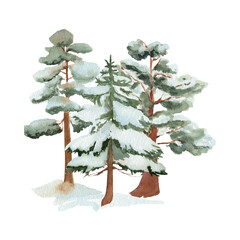 christmas fir tree decoration top view isolated on white or transparent png