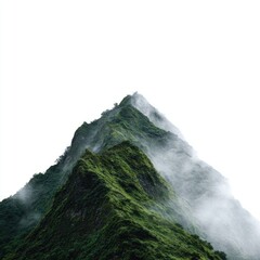 Lush mountain peak shrouded in mist