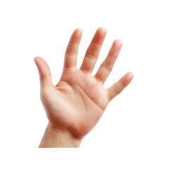 Open hand isolated on Transparent Background