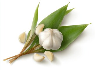 Fresh garlic bulb and leaves