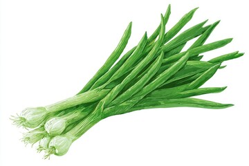 Fresh green scallions bunch