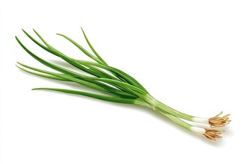 Fresh green scallions on a white background