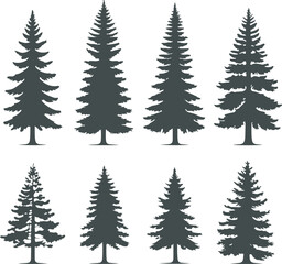 Collection of eight distinct evergreen tree silhouettes, featuring various shapes and densities of pine, spruce, and fir trees, perfect for nature or forestry graphics