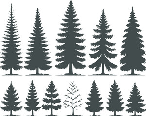 Collection of ten distinct silhouette illustrations of various evergreen coniferous trees, showcasing different shapes and sizes of pine, spruce, and fir species, perfect for nature graphics